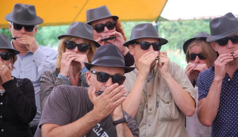 Mondharmonica: Workshops Sint-Niklaas